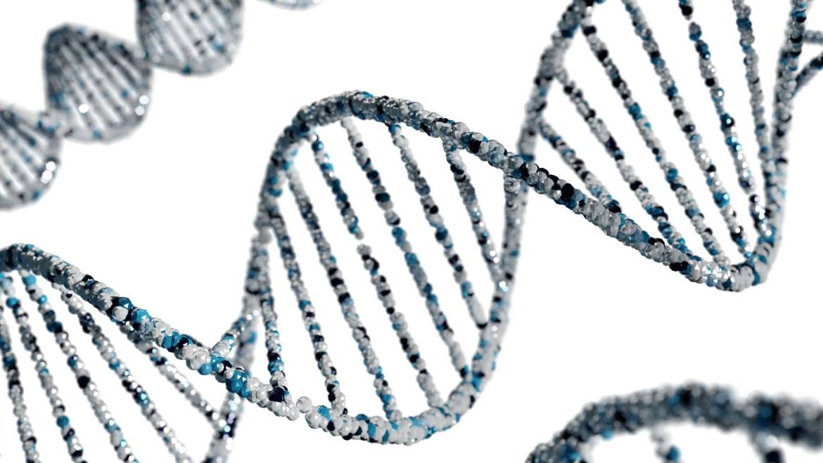 The Importance of Methylation Genetic Testing (DNA): Unveiling Your Health Blueprint