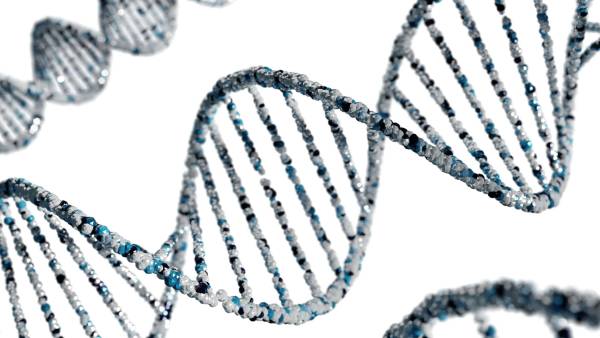 The Importance of Methylation Genetic Testing (DNA): Unveiling Your Health Blueprint